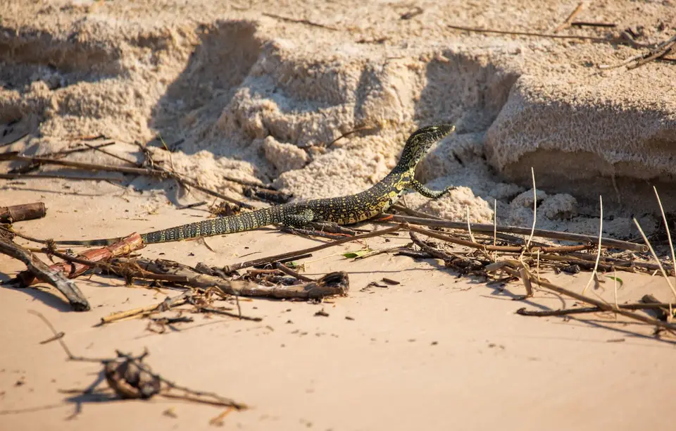 Namibia_Katima_Zambezi_015.jpg