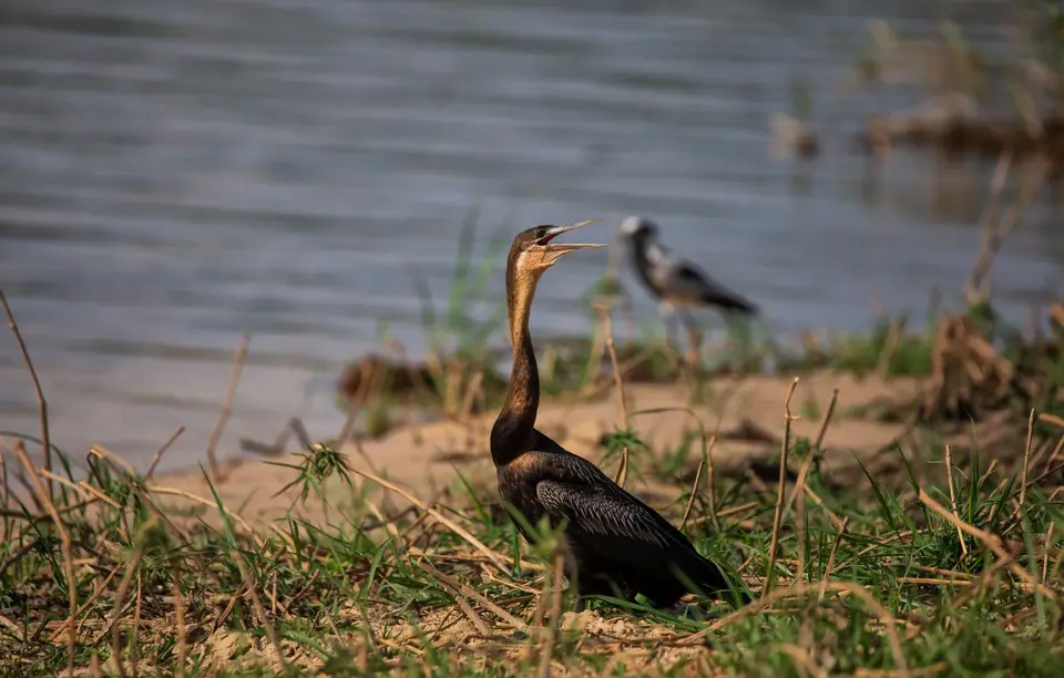 Namibia_Katima_Zambezi_020.jpg
