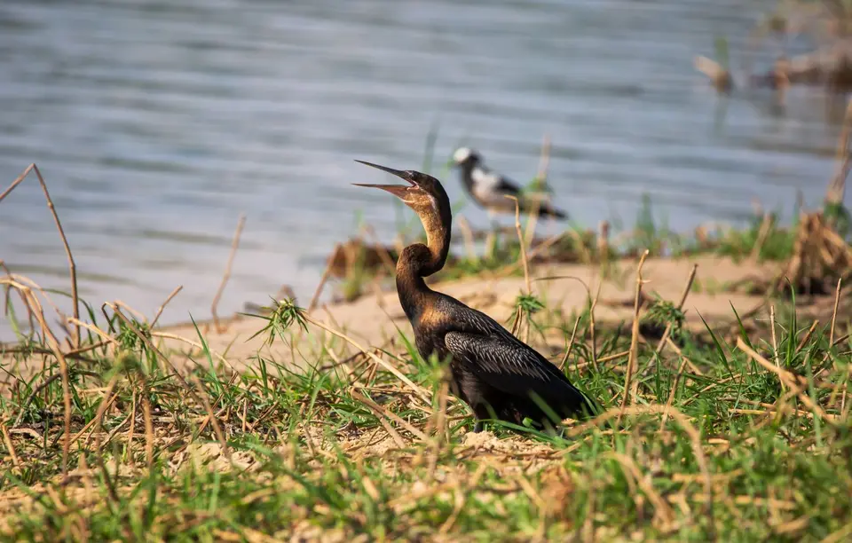 Namibia_Katima_Zambezi_021.jpg