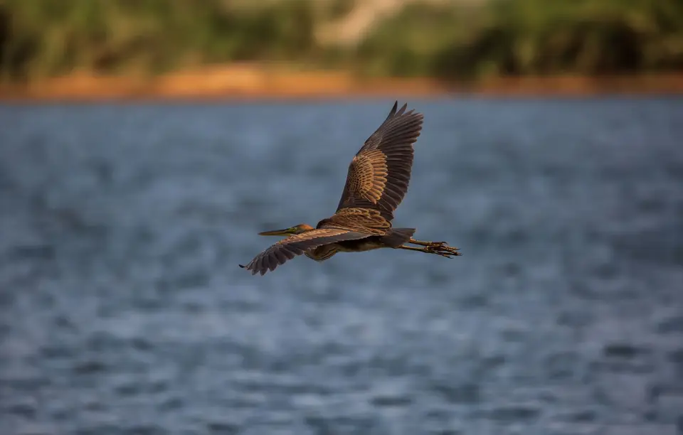 Namibia_Katima_Zambezi_051.jpg