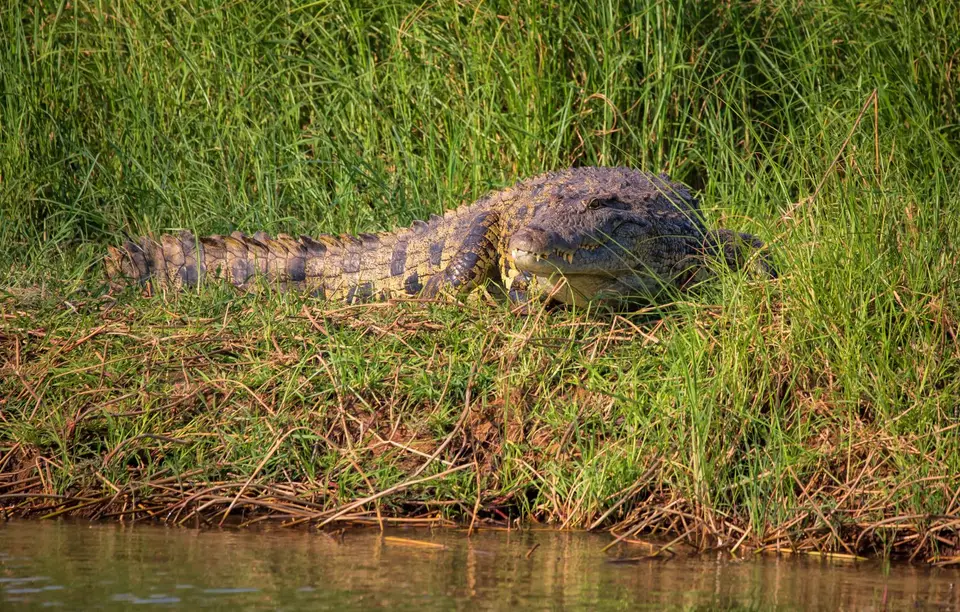 Namibia_Katima_Zambezi_059.jpg