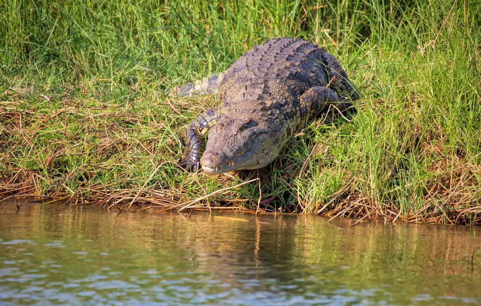 Namibia_Katima_Zambezi_060.jpg
