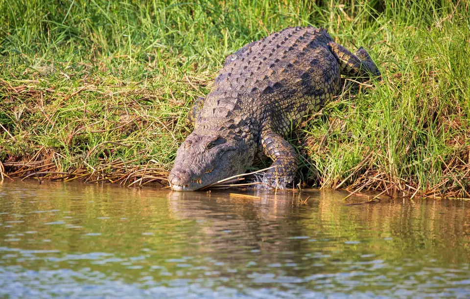 Namibia_Katima_Zambezi_061.jpg