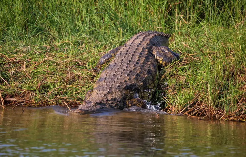 Namibia_Katima_Zambezi_062.jpg
