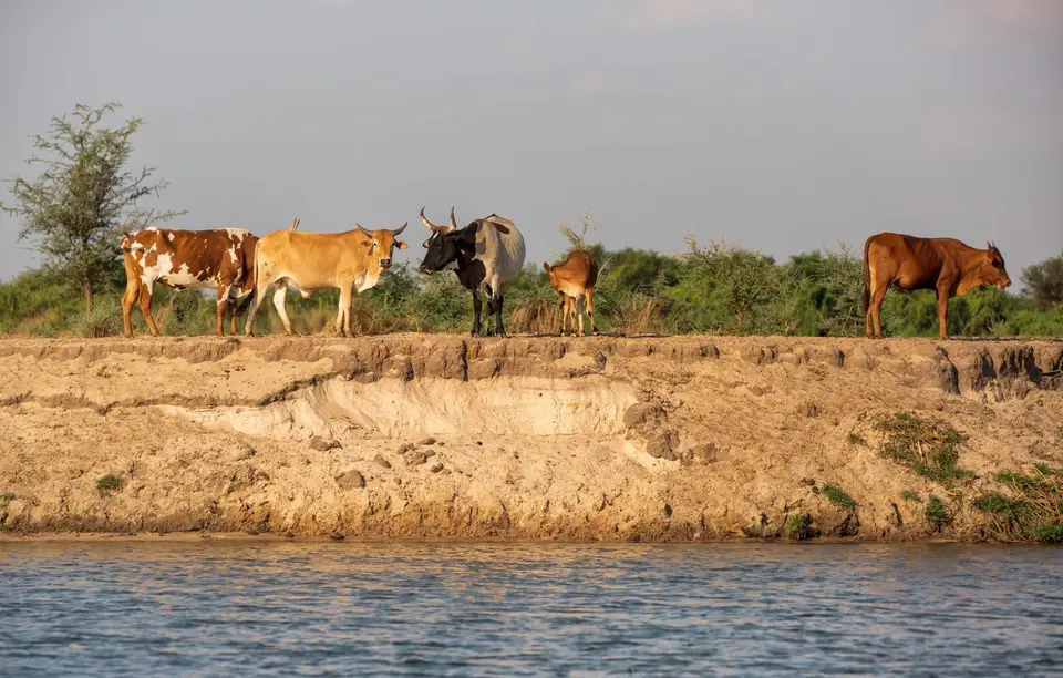 Namibia_Katima_Zambezi_066.jpg