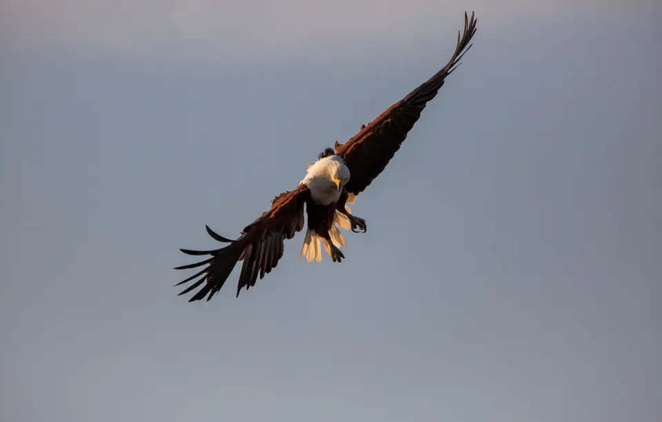 Namibia_Katima_Zambezi_070.jpg
