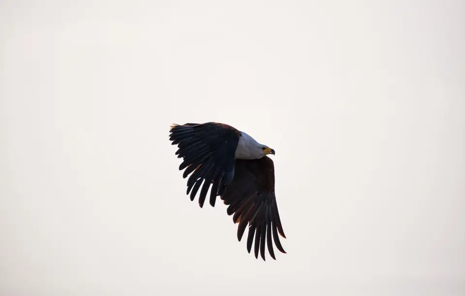 Namibia_Katima_Zambezi_071.jpg