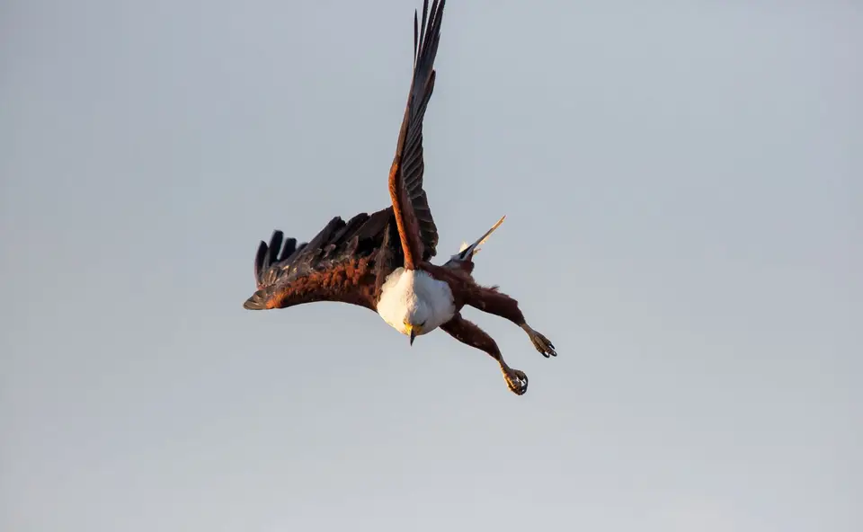 Namibia_Katima_Zambezi_072.jpg