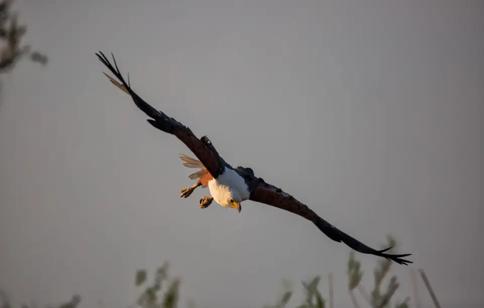 Namibia_Katima_Zambezi_073.jpg