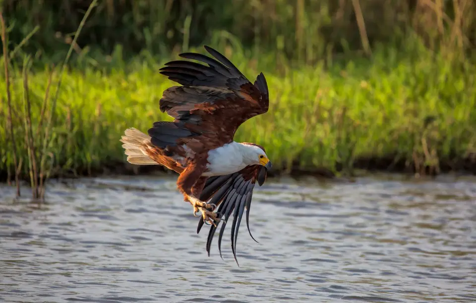 Namibia_Katima_Zambezi_074.jpg