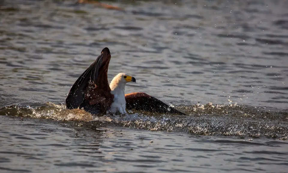 Namibia_Katima_Zambezi_075.jpg