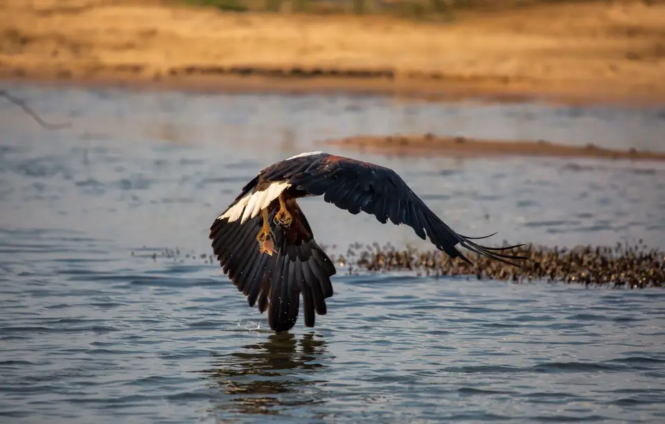 Namibia_Katima_Zambezi_078.jpg