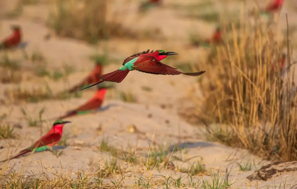Namibia_Katima_Zambezi_082.jpg