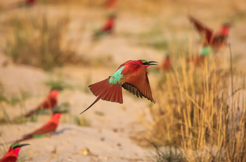 Namibia_Katima_Zambezi_084.jpg