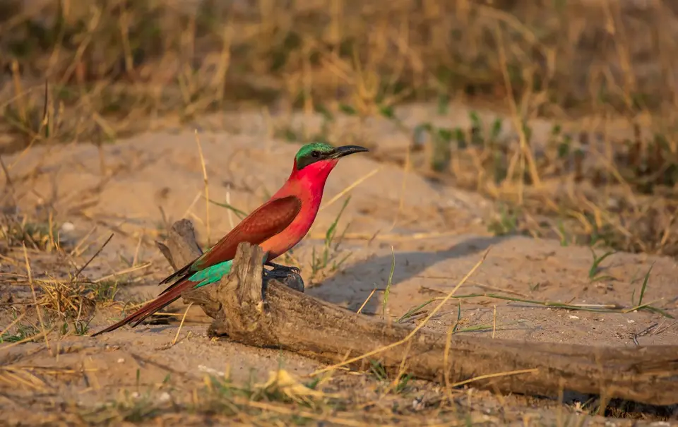 Namibia_Katima_Zambezi_086.jpg