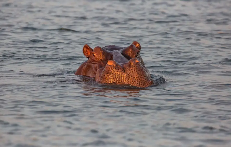 Namibia_Katima_Zambezi_098.jpg