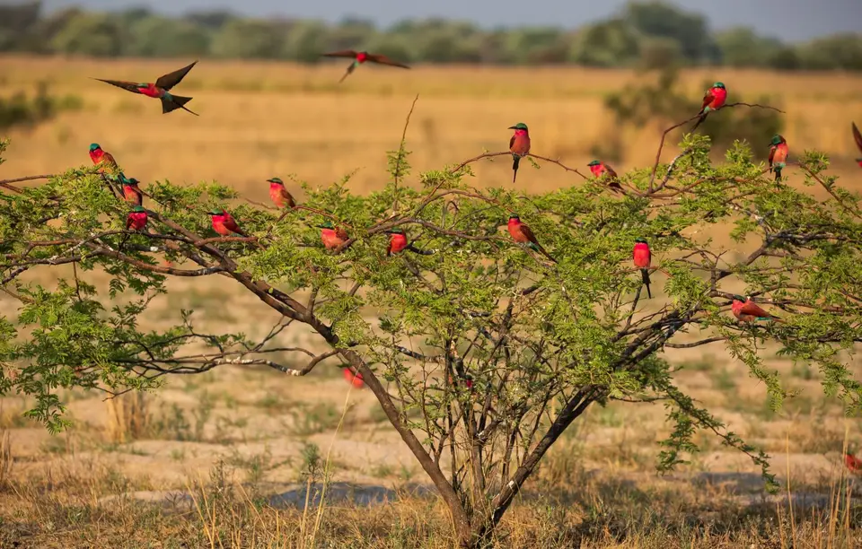 Namibia_Katima_Zambezi_105.jpg