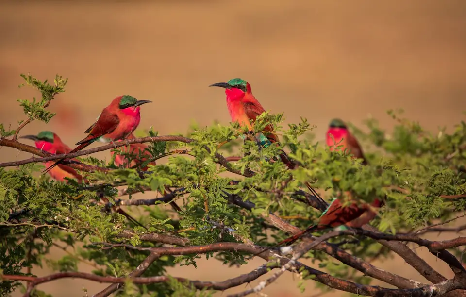 Namibia_Katima_Zambezi_107.jpg