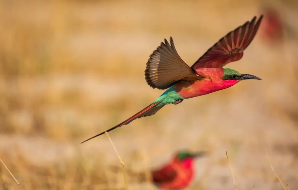 Namibia_Katima_Zambezi_129.jpg
