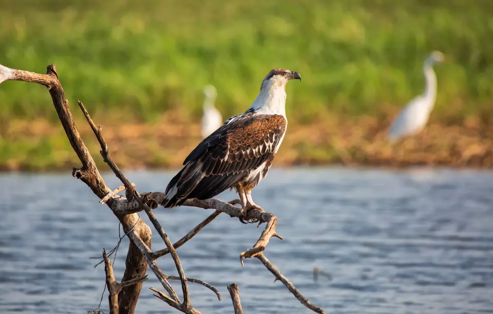Namibia_Katima_Zambezi_135.jpg