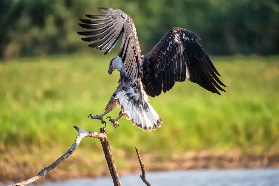 Namibia_Katima_Zambezi_136.jpg