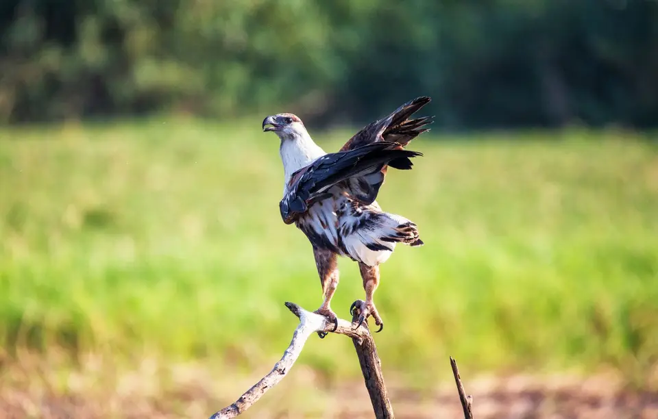 Namibia_Katima_Zambezi_137.jpg