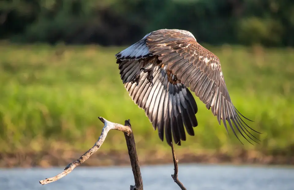 Namibia_Katima_Zambezi_138.jpg
