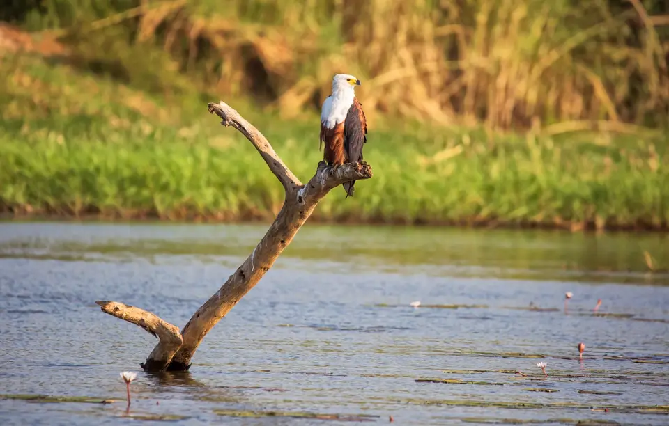 Namibia_Katima_Zambezi_140.jpg