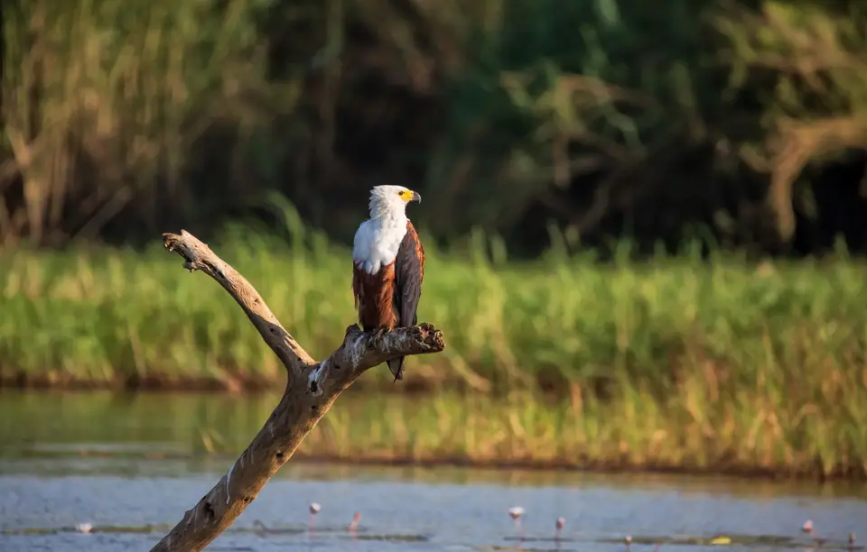 Namibia_Katima_Zambezi_141.jpg