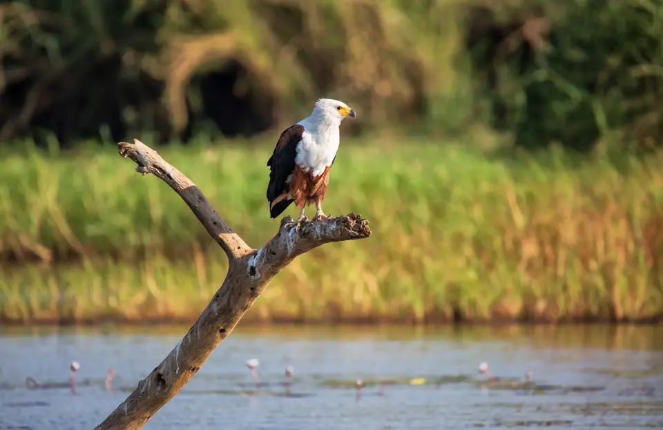Namibia_Katima_Zambezi_142.jpg