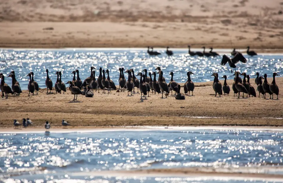 Namibia_Katima_Zambezi_165.jpg