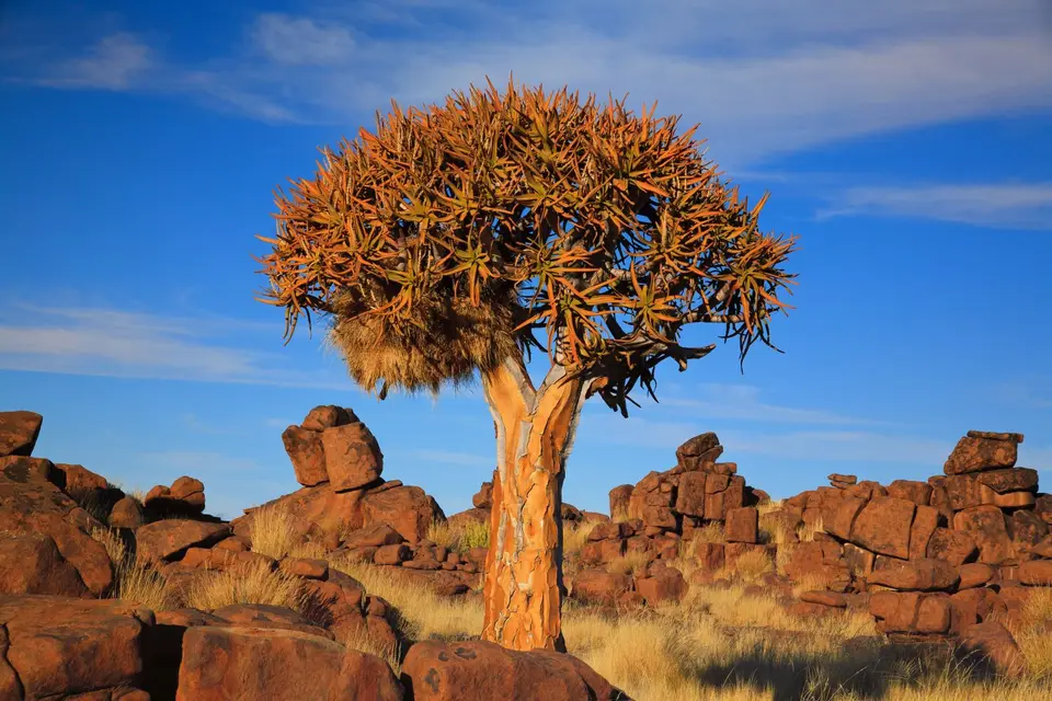 Namibia_Keetmannshoop_SpielplatzderRiesen_008.jpg
