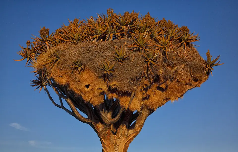 Namibia_Keetmannshoop_SpielplatzderRiesen_012.jpg