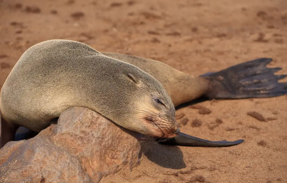 Namibia_Kreuzkapp_009.jpg