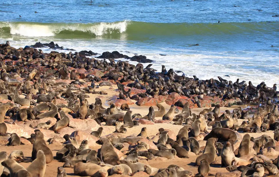 Namibia_Kreuzkapp_088.jpg
