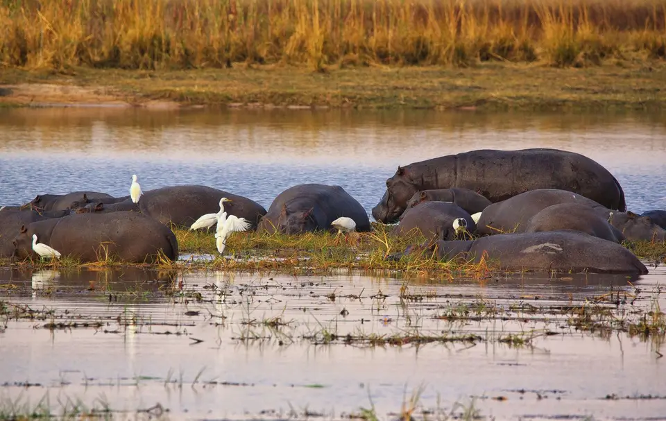 Namibia_Mahango_021.jpg