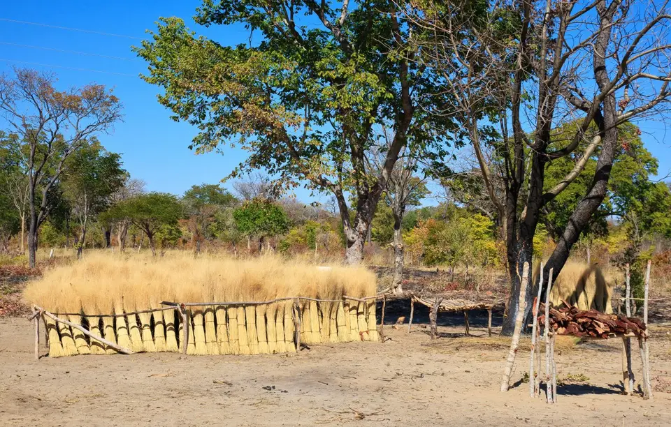Namibia_Okavango_064.jpg