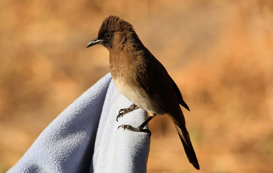 Namibia_Okavango_080.jpg