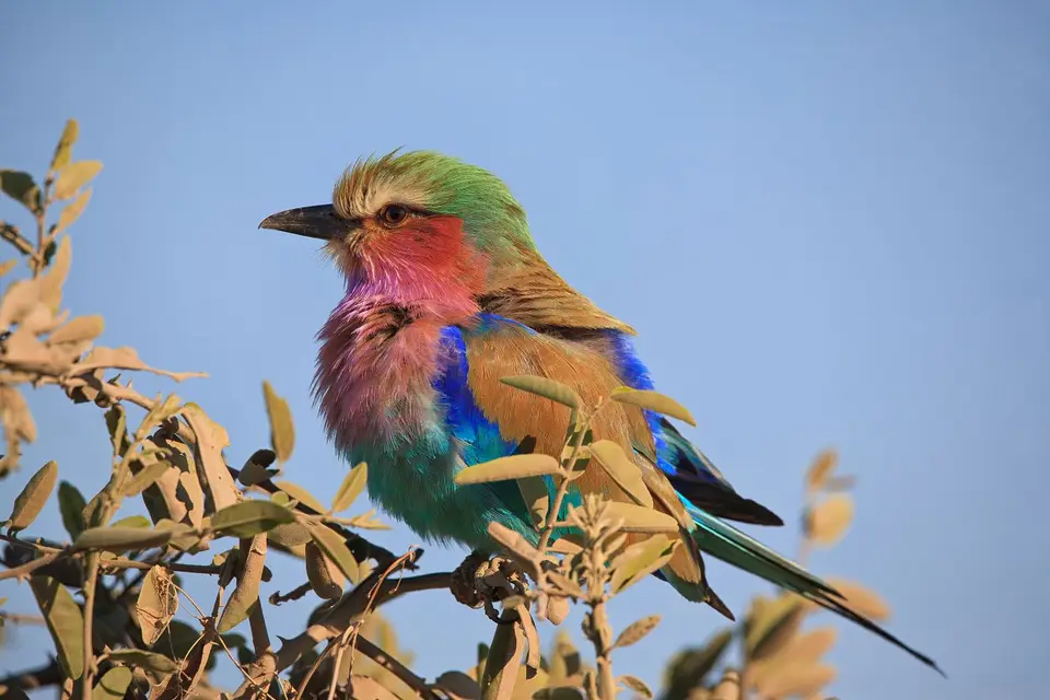 Namibia_Okavango_091.jpg