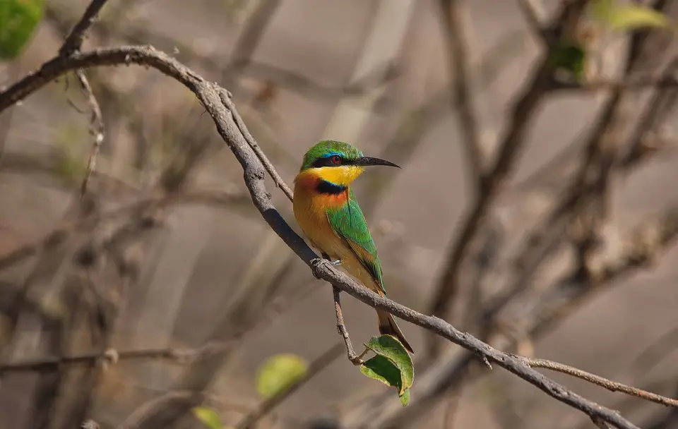 Namibia_Okavango_093.jpg