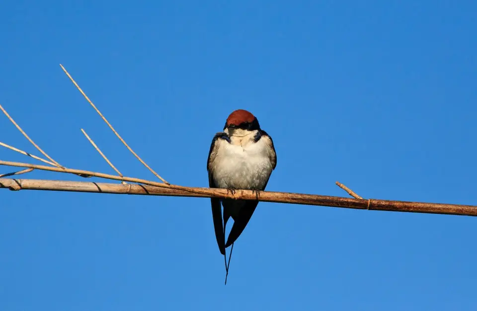 Namibia_Okavango_101.jpg
