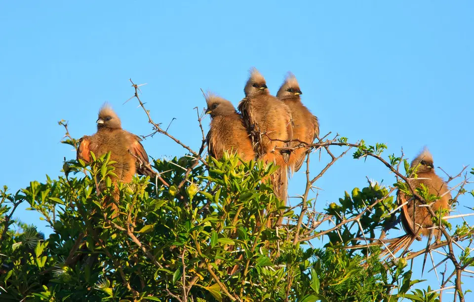Namibia_Purros_37.jpg