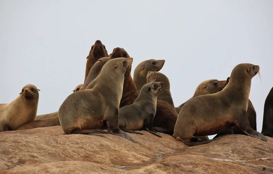 Namibia_Skelettküste_173.jpg