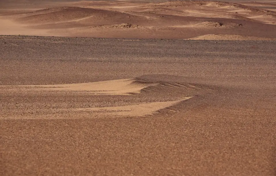 Namibia_Skelettküste_190.jpg