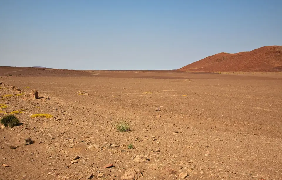 Namibia_Skelettküste_208.jpg
