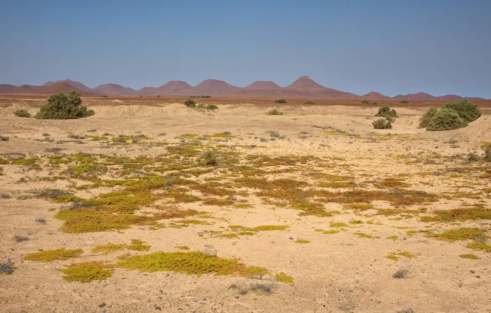 Namibia_Skelettküste_218.jpg
