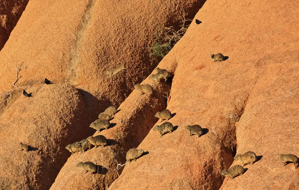 Namibia_Spitzkoppe_128.jpg