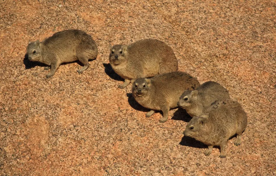 Namibia_Spitzkoppe_130.jpg