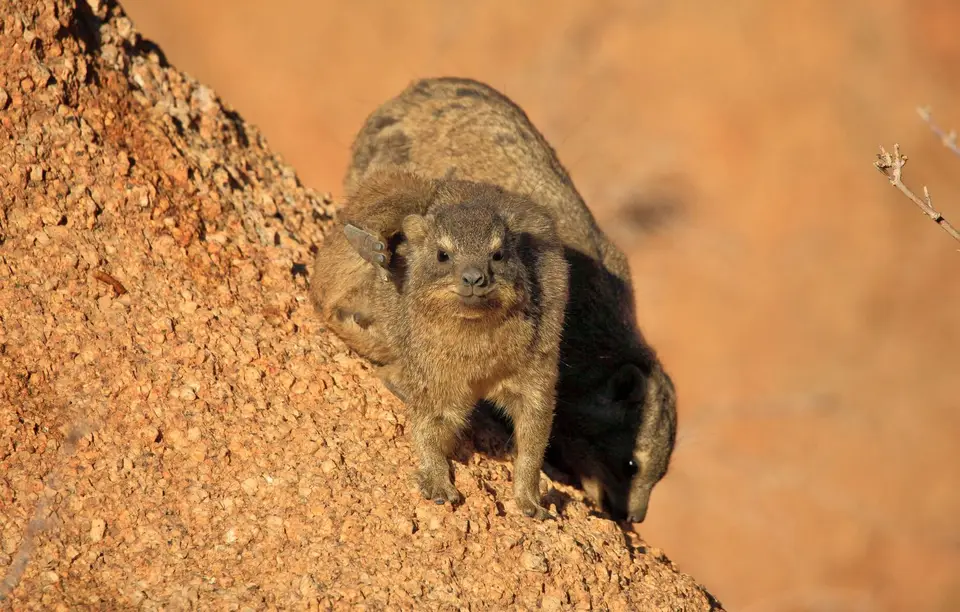 Namibia_Spitzkoppe_133.jpg
