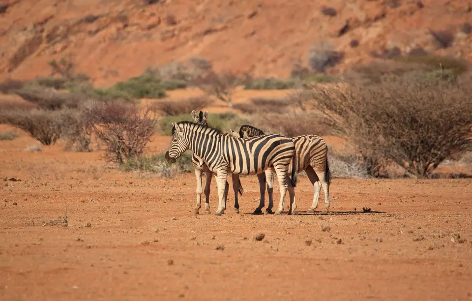 Namibia_Spitzkoppe_174.jpg